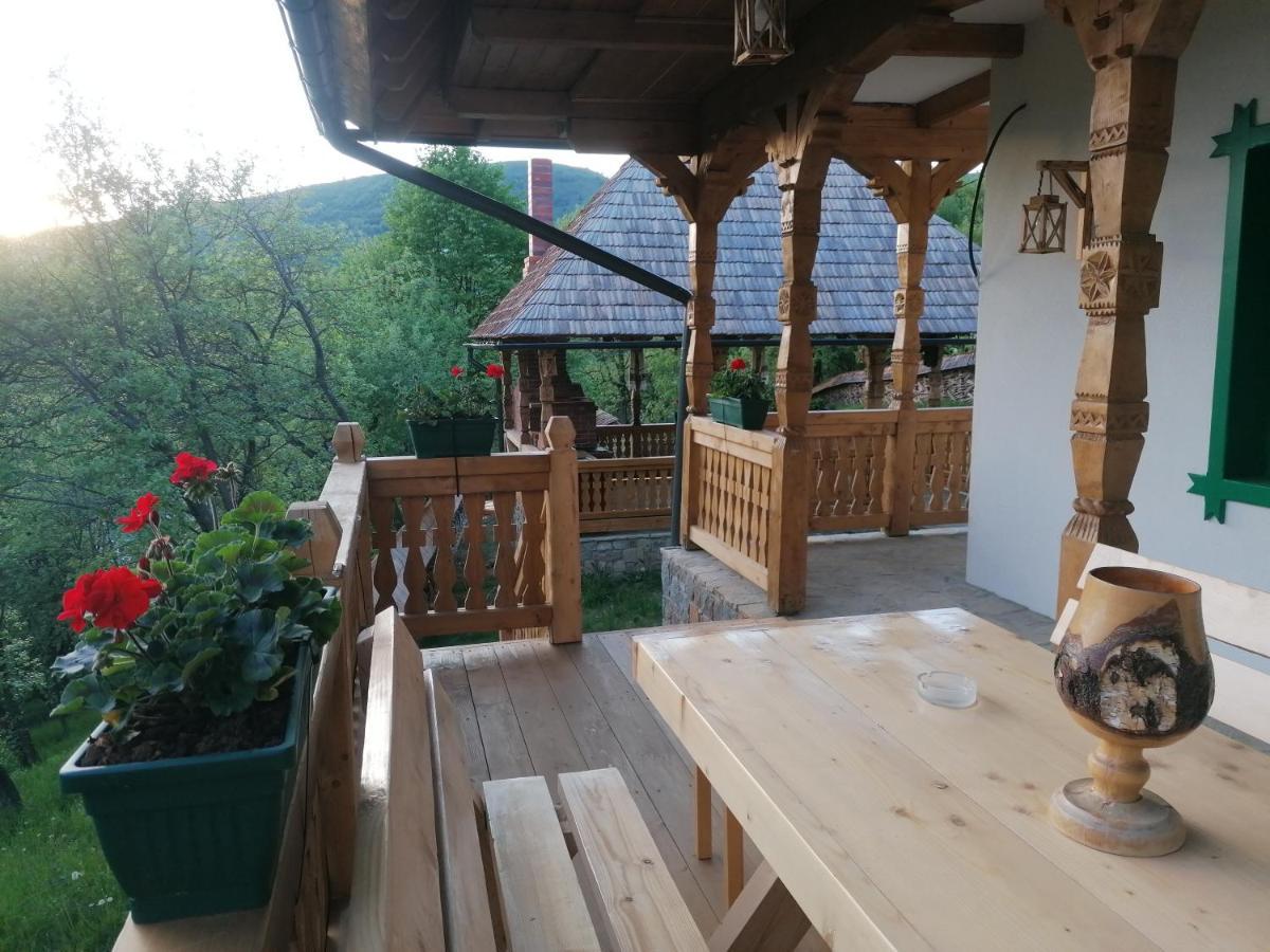Pensiunea Casuta Din Deal Moisei Esterno foto